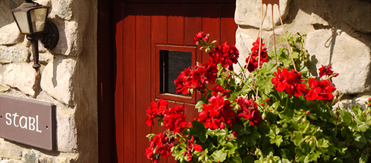 Stabl Cottage, Snowdonia